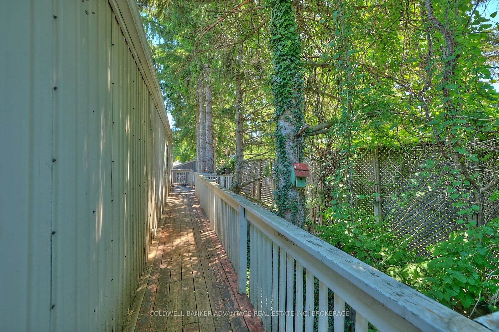 144 Geneva Street photo 1