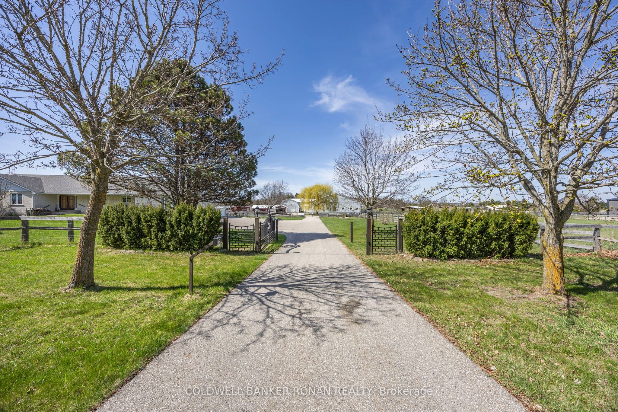 8058 20th Side Road photo 1
