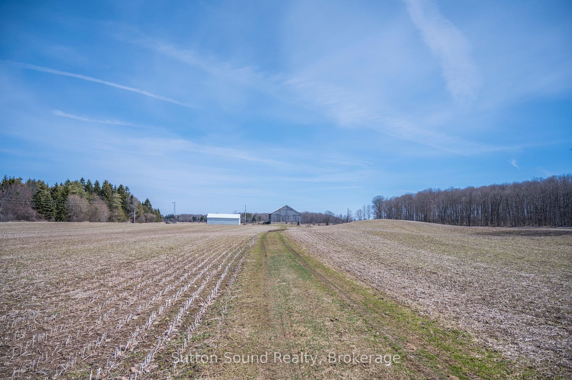 458523 8 Concession photo 1