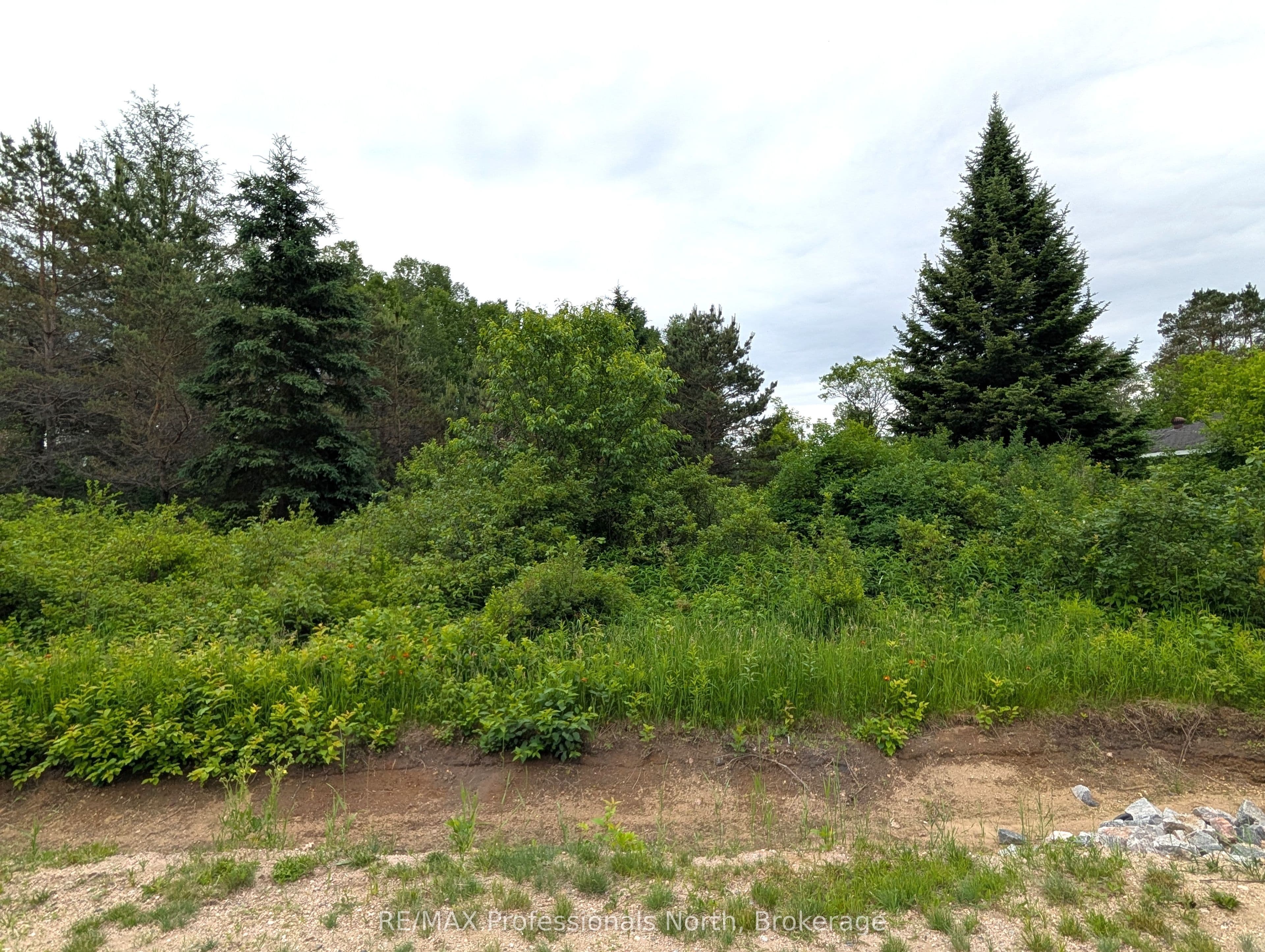 43 RIVERSIDE Avenue photo 1