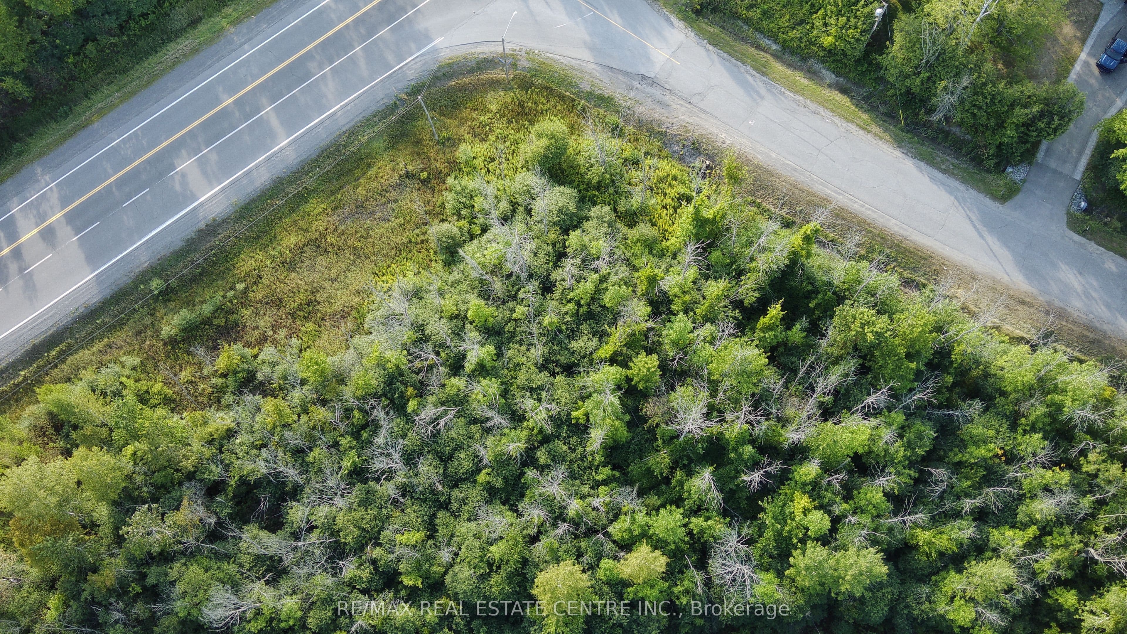 Unit 41 41 CONCESSION 4 Road photo 1