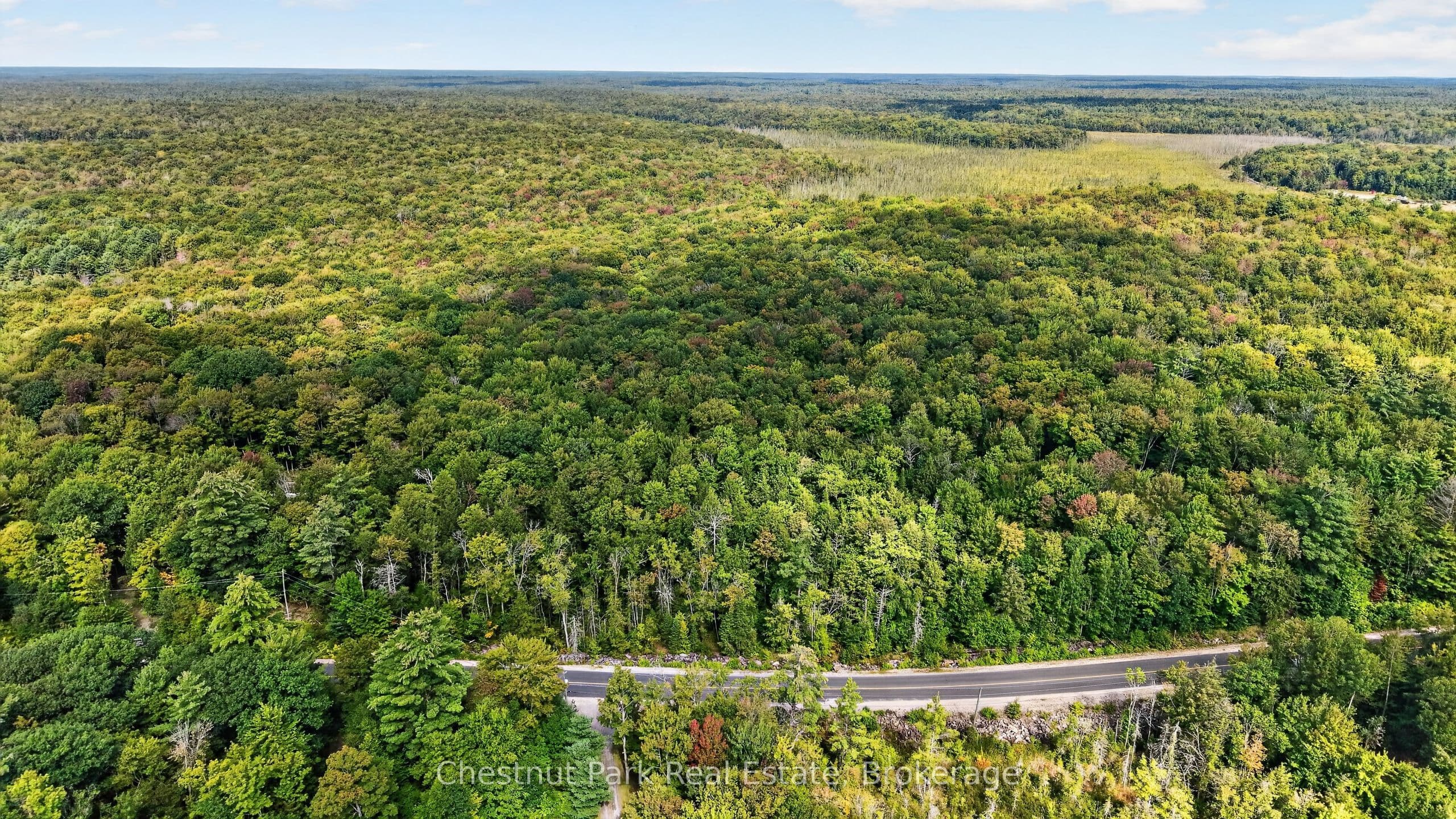 1090 Falkenburg Road photo 1