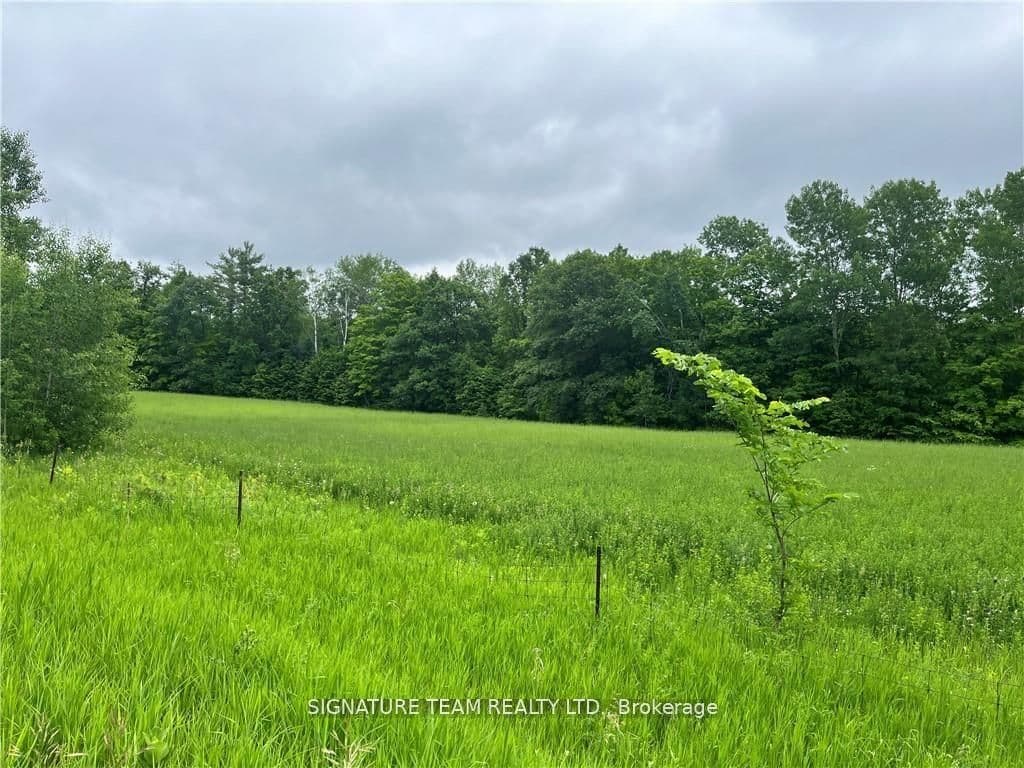 0 Grant Settlement Road photo 1