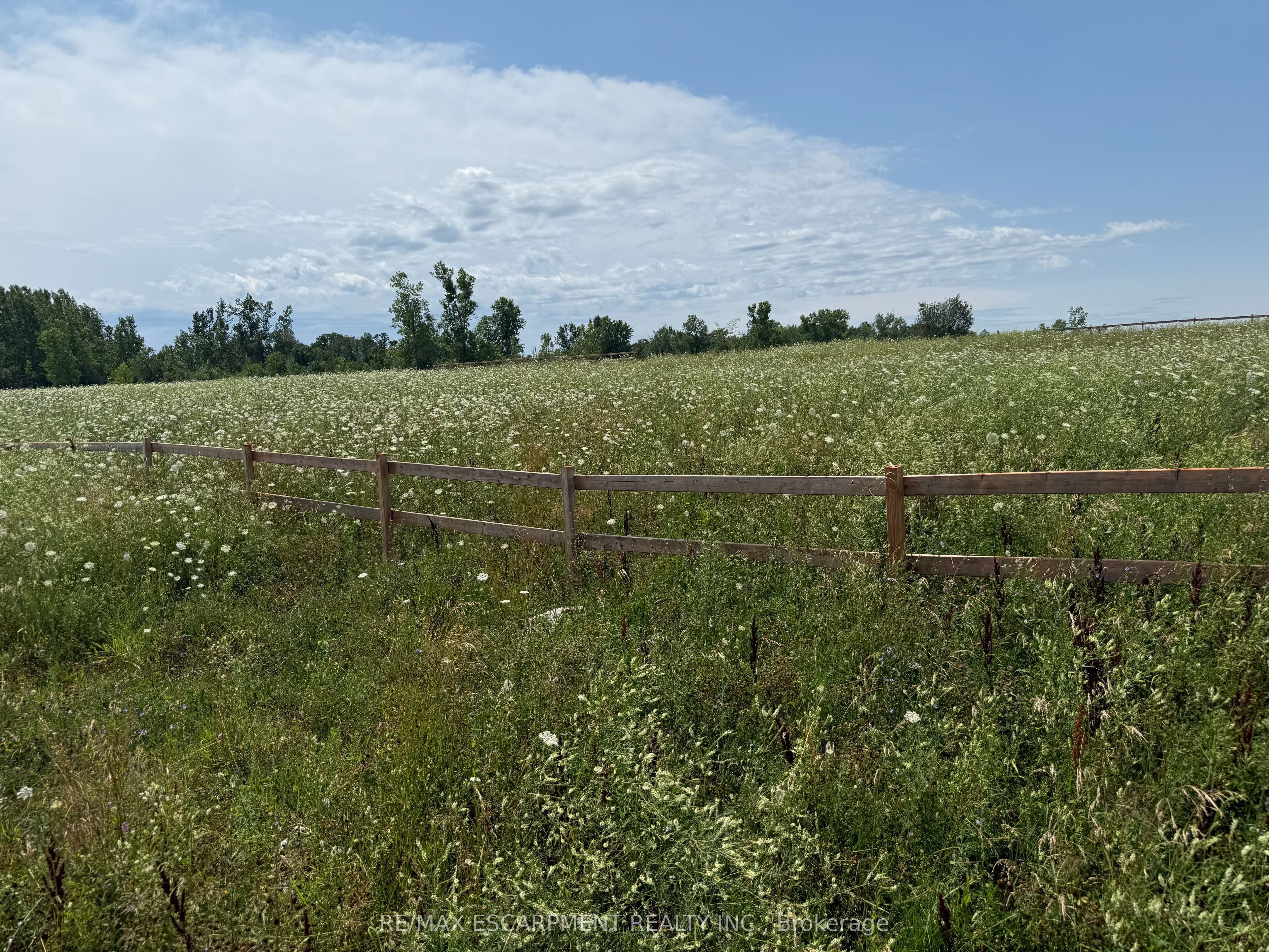 260 Colborne Street photo 1