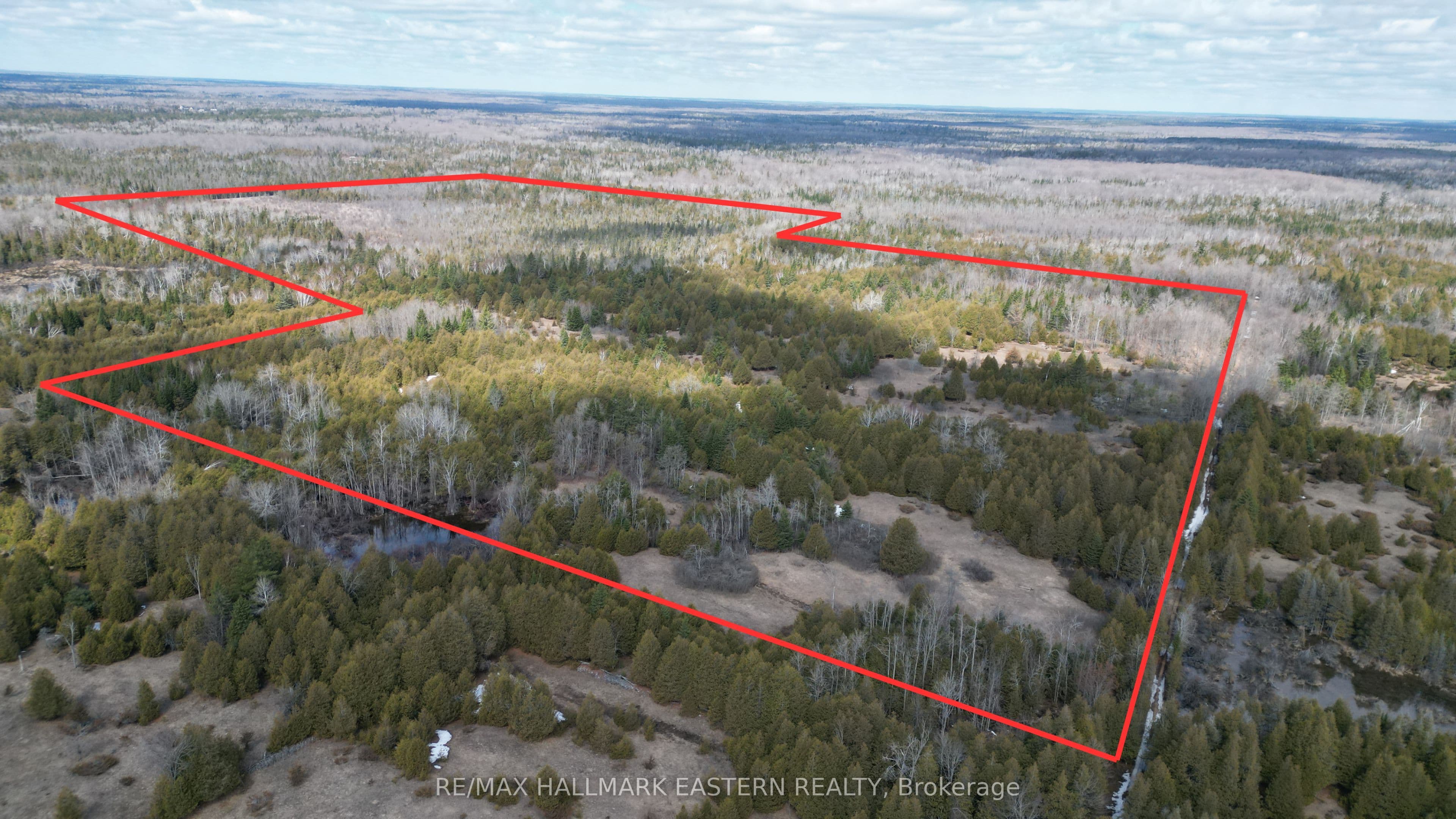 509 12th Line Dummer Road photo 1