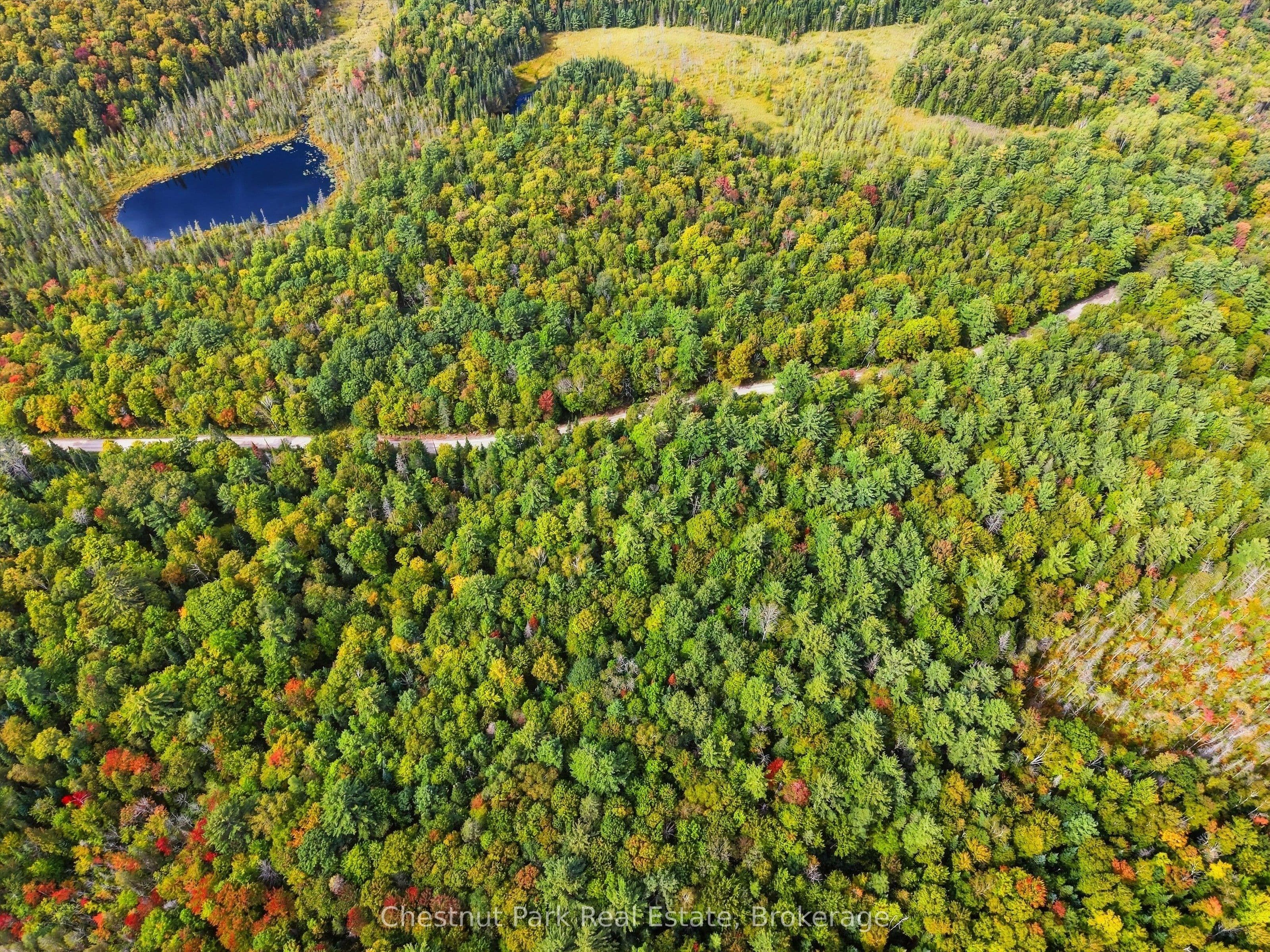 00 Paint Lake Road photo 1