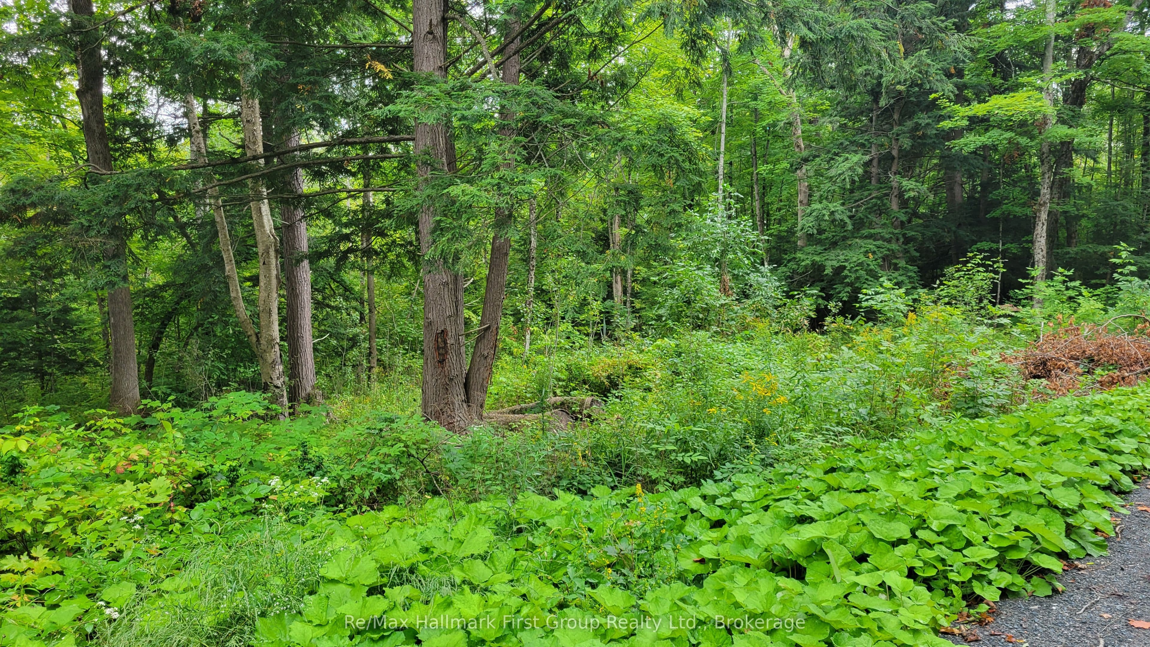 0 Black River Road photo 1