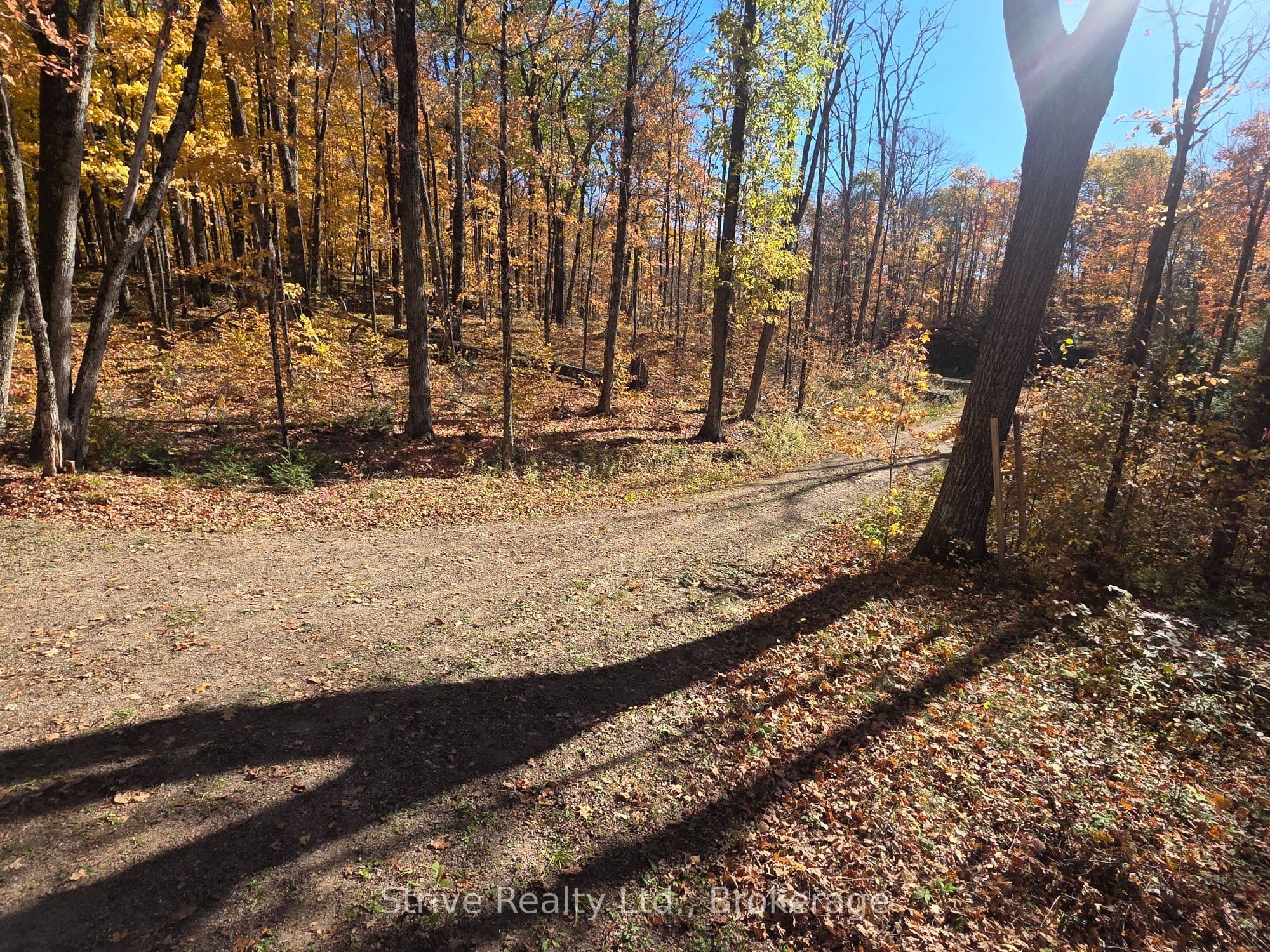 1303 Whites Road photo 1