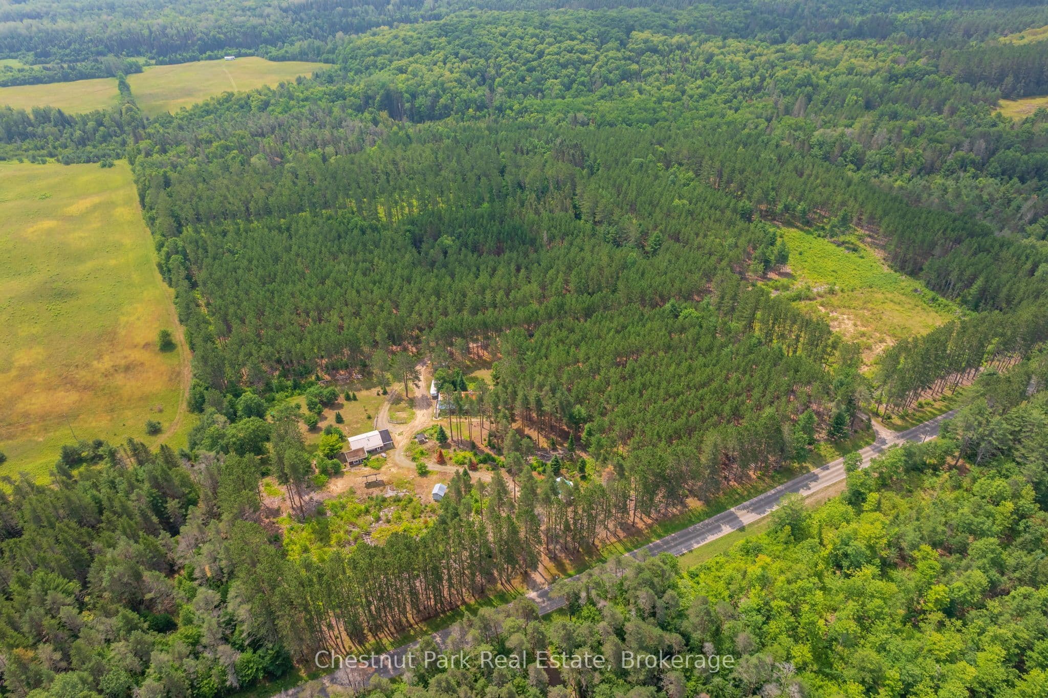 165 James Camp Road photo 1