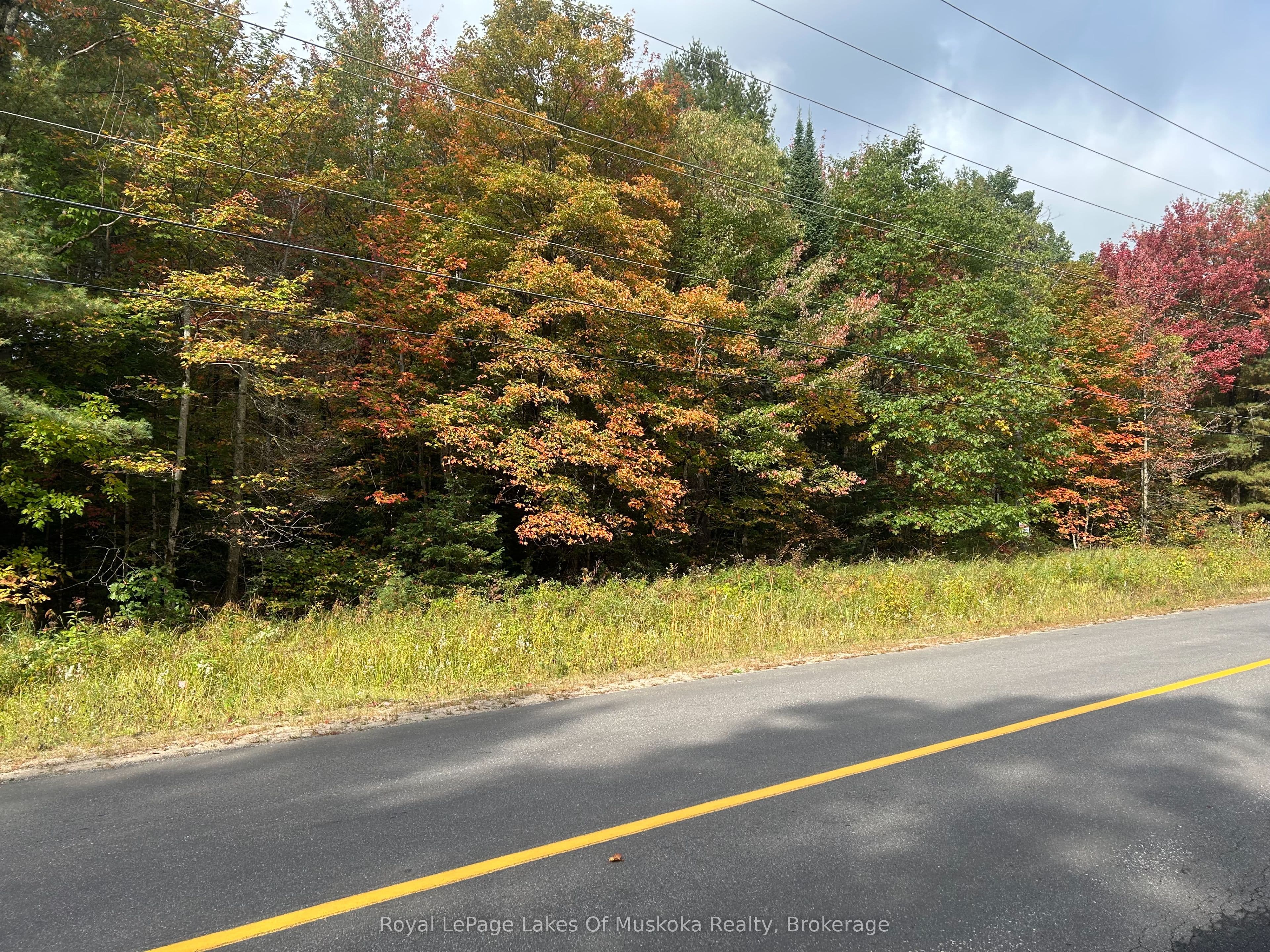 PT2 35R 132264 Bonnie Lake Road photo 1