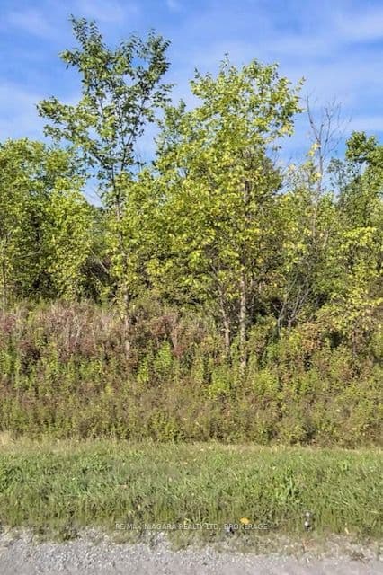Lot 5 Montrose Road photo 1