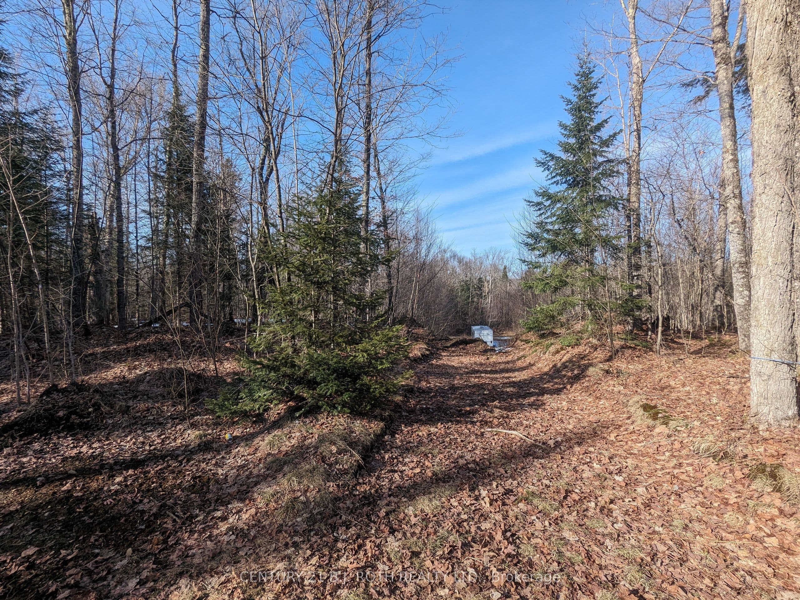 11146 Highway 118 N/A photo 1
