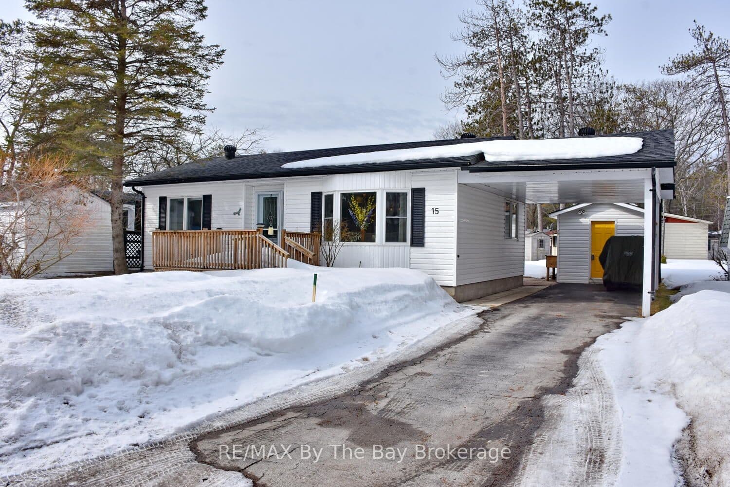 15 Carruthers Street photo 1