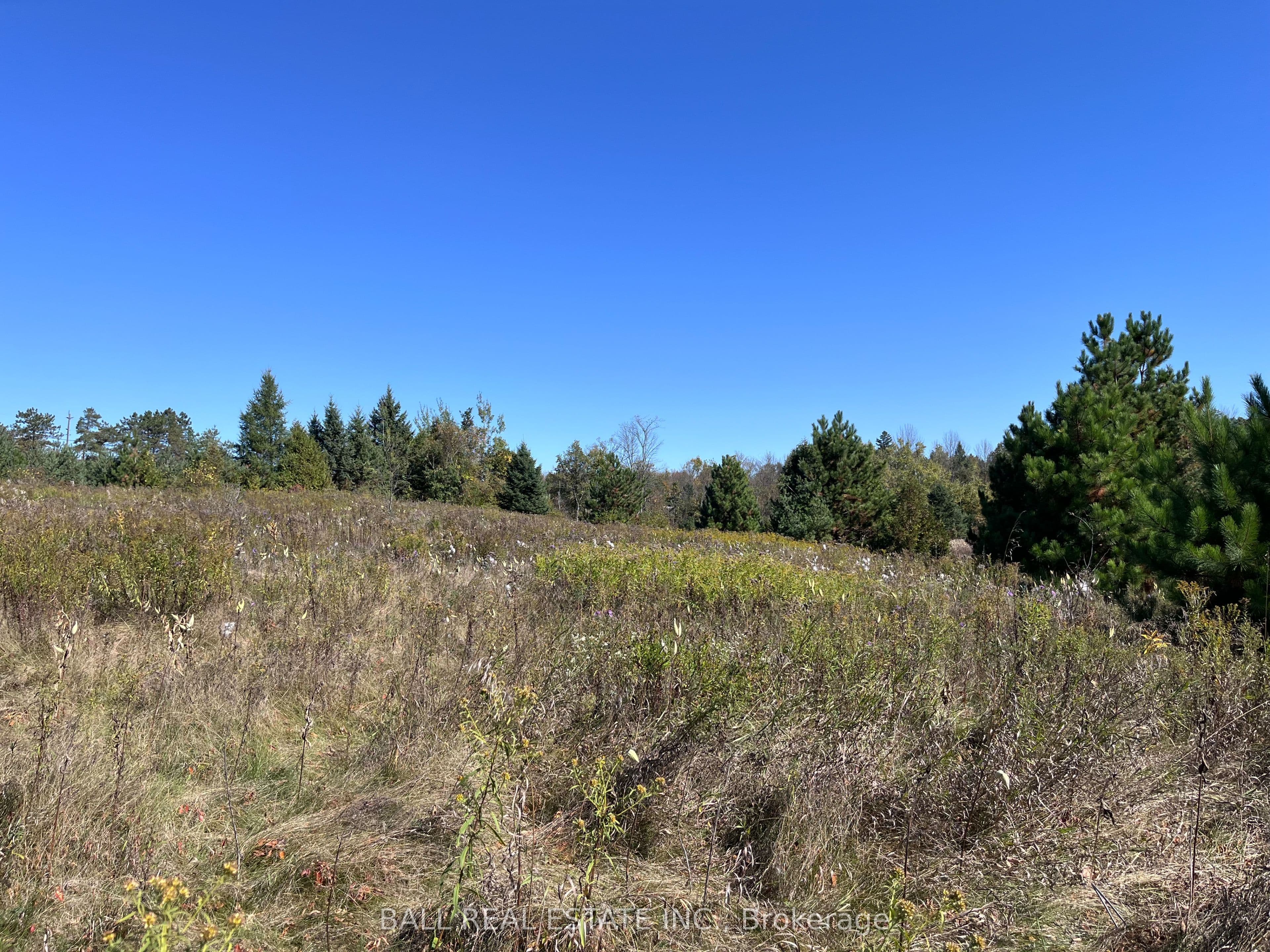0 KOA Road photo 1
