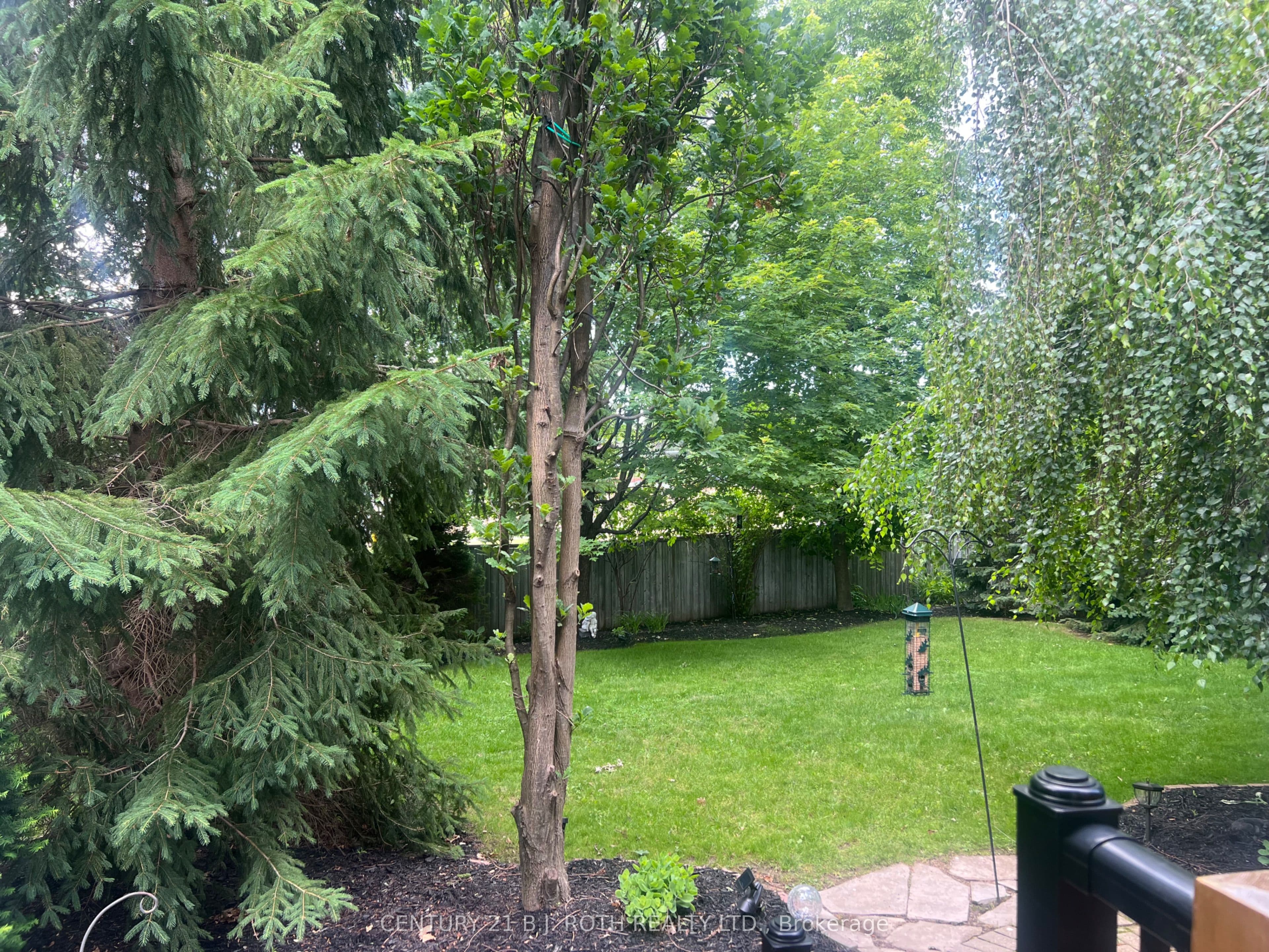 47 Looker Drive photo 1
