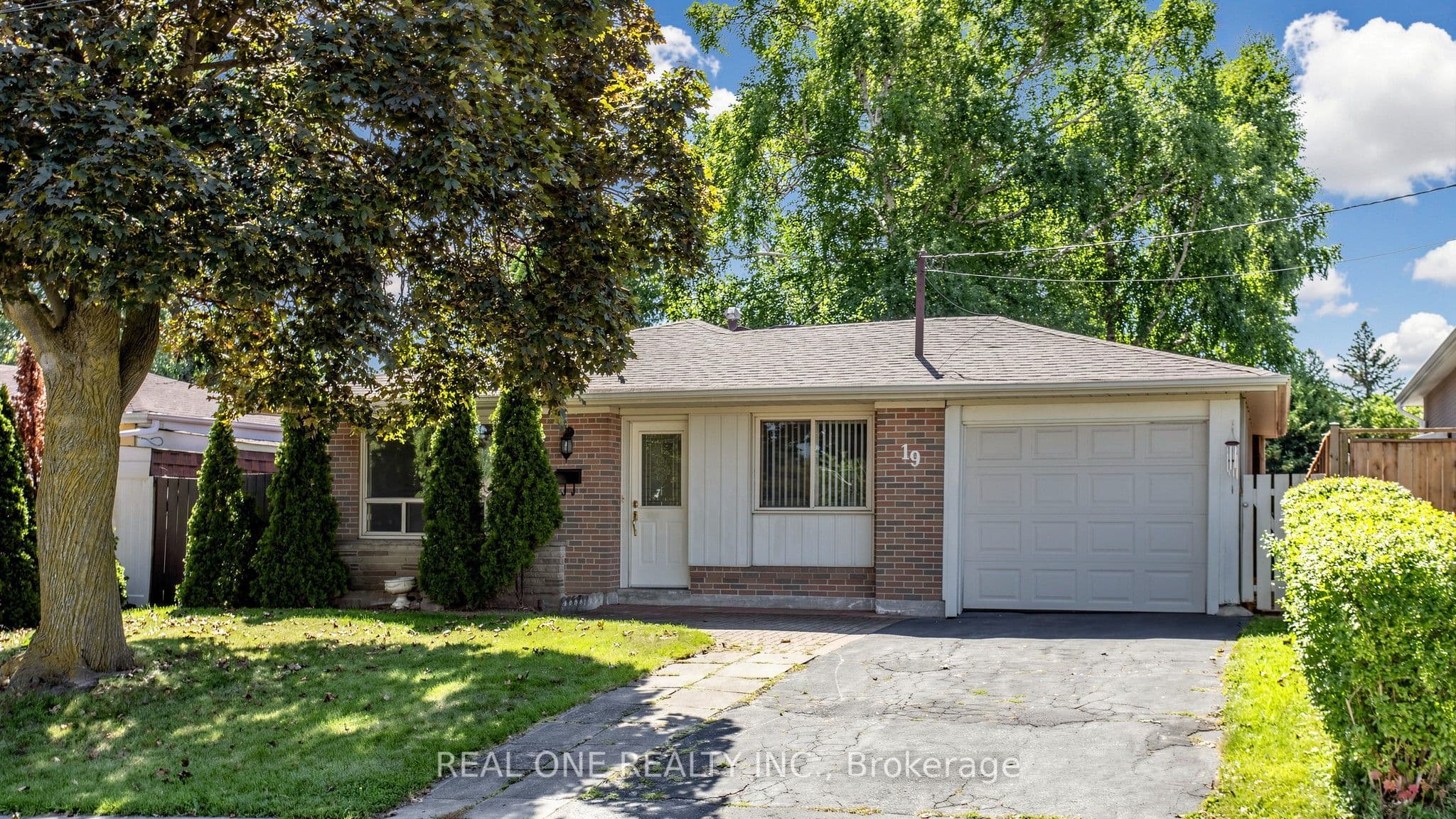 19 Nymark Avenue photo 1