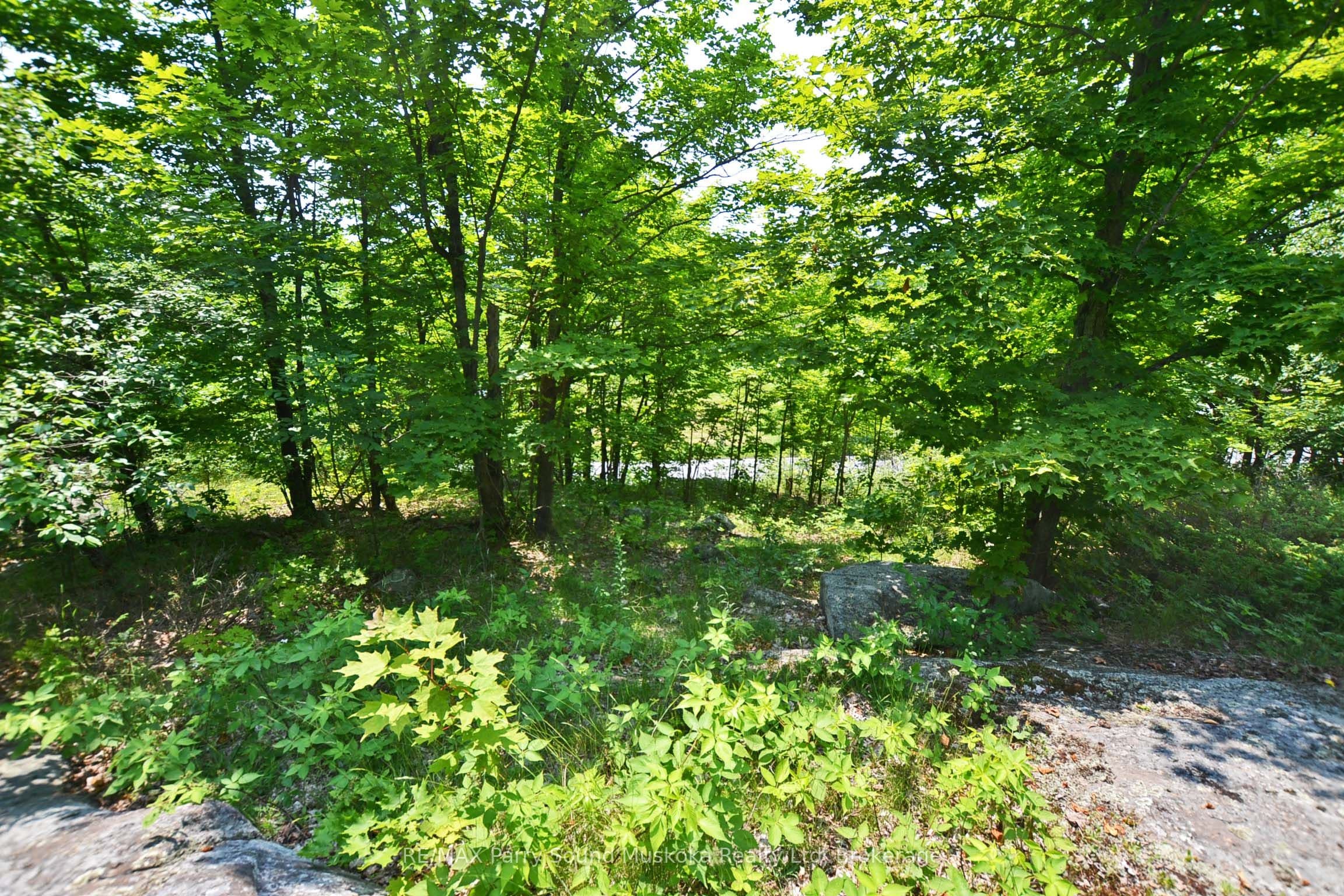 19 Turtle Lane photo 1