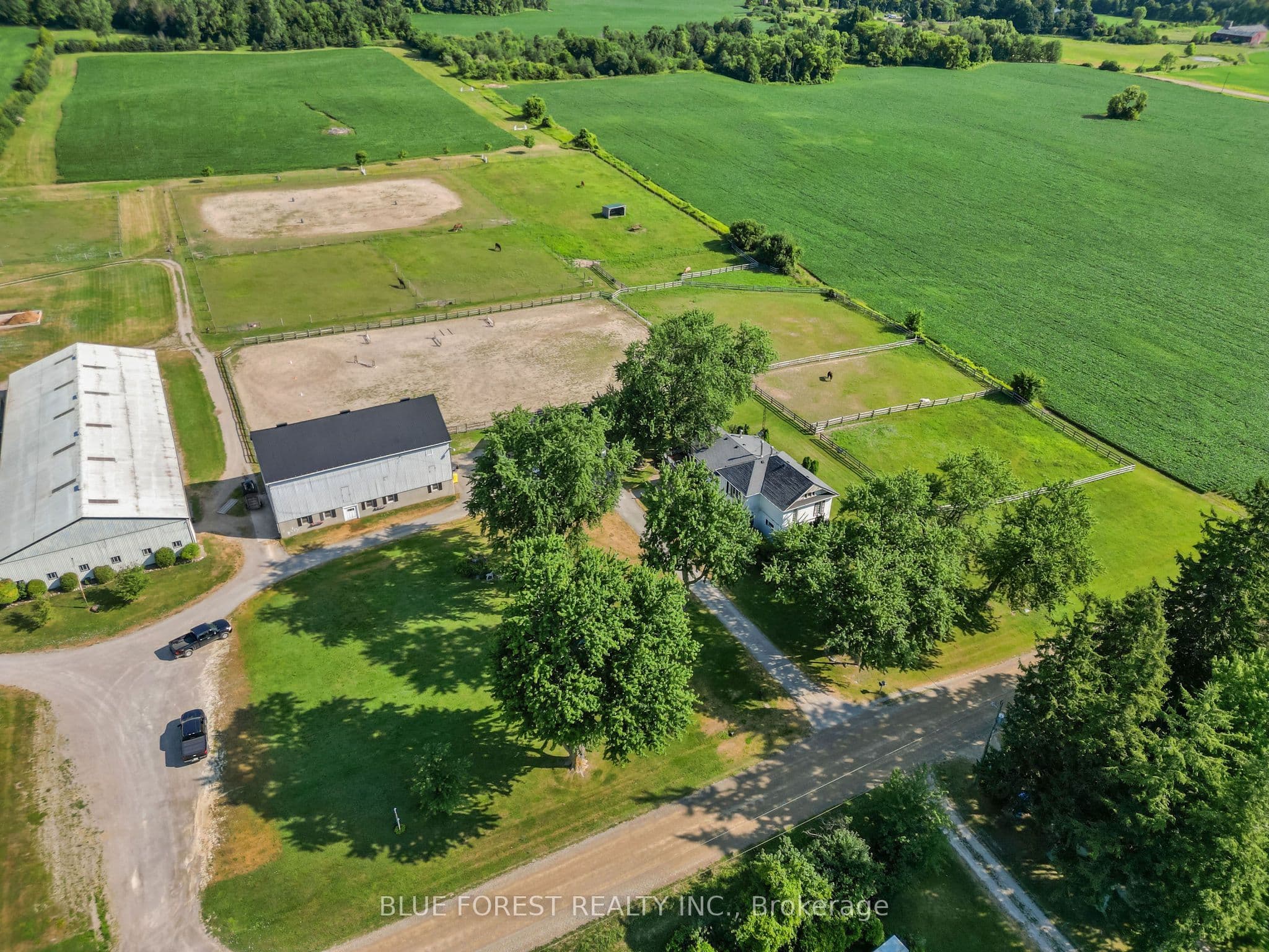 12798 EIGHT MILE Road photo 1