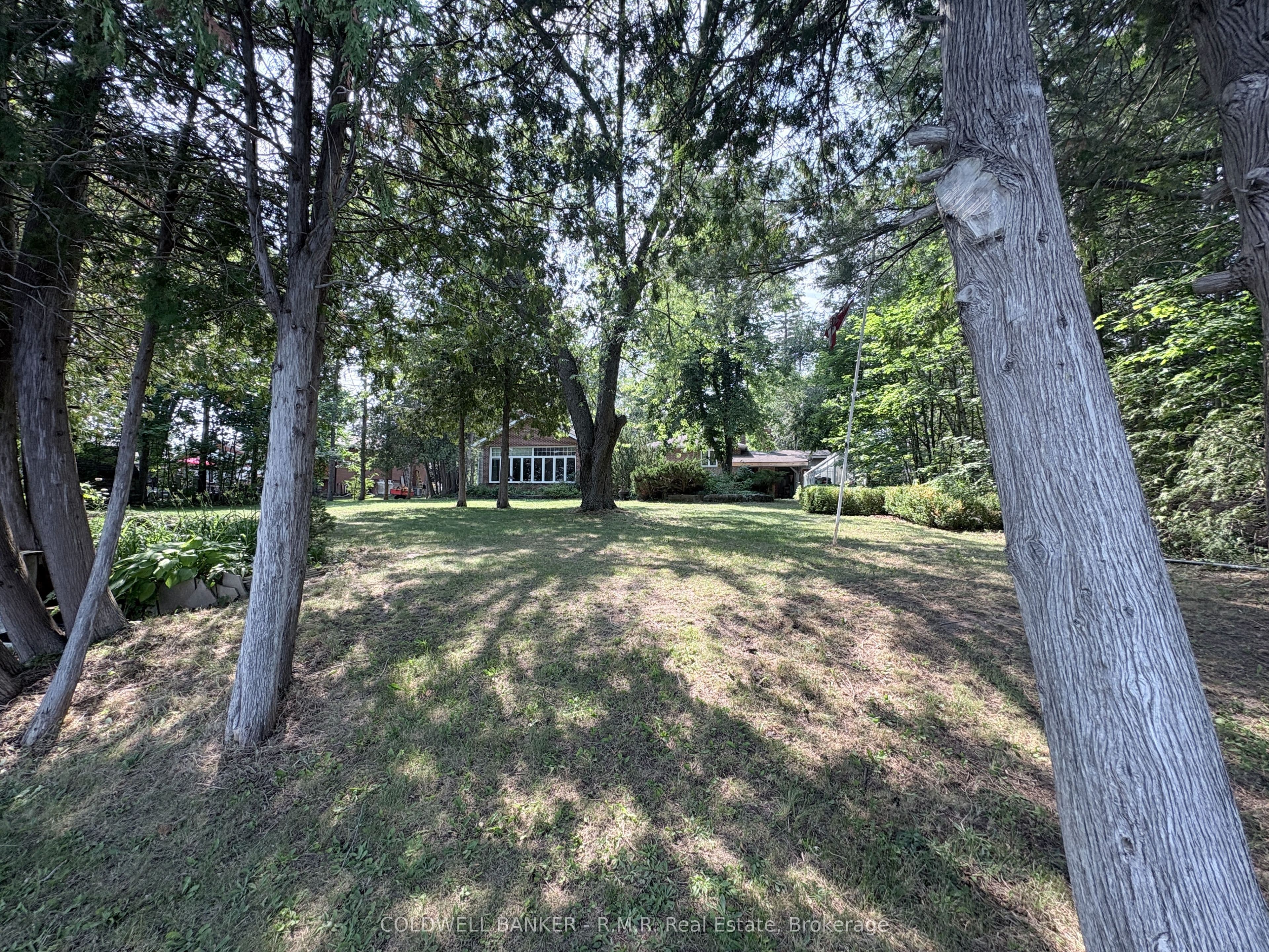 60 Pinewood Boulevard photo 1