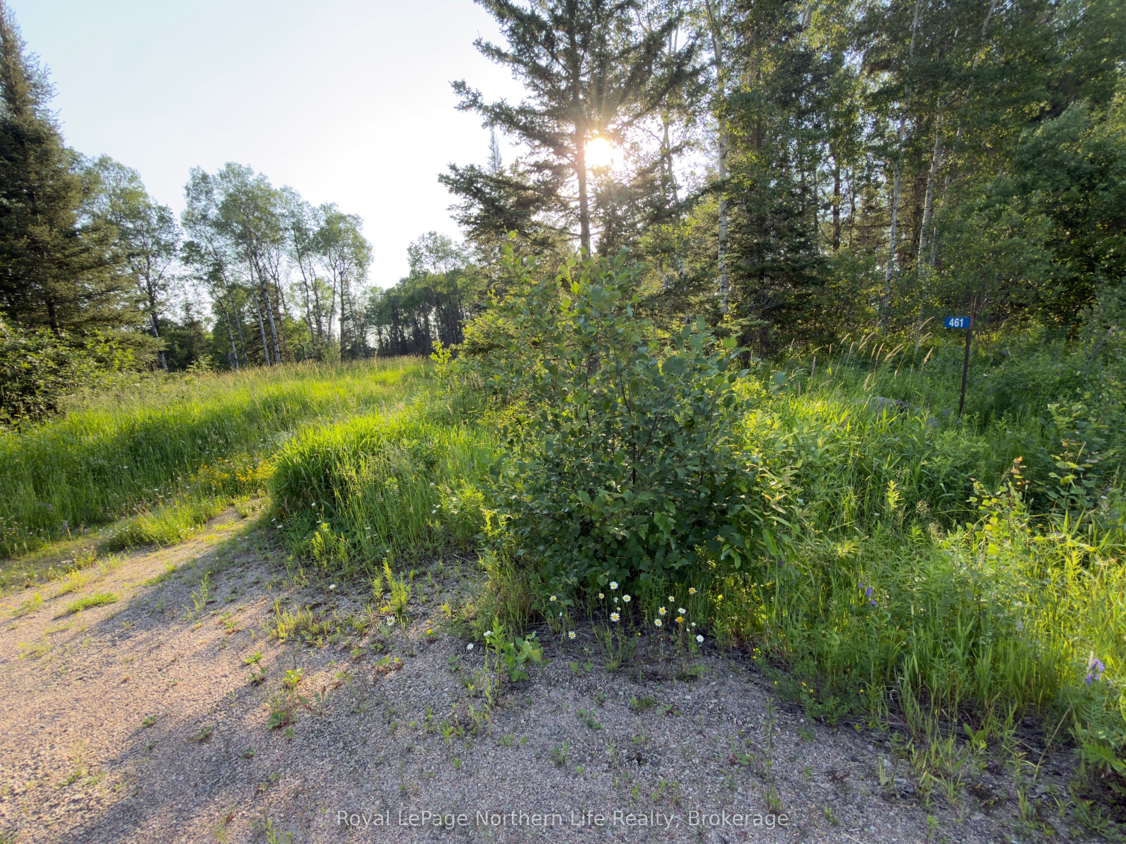 461 Alderdale Road photo 1