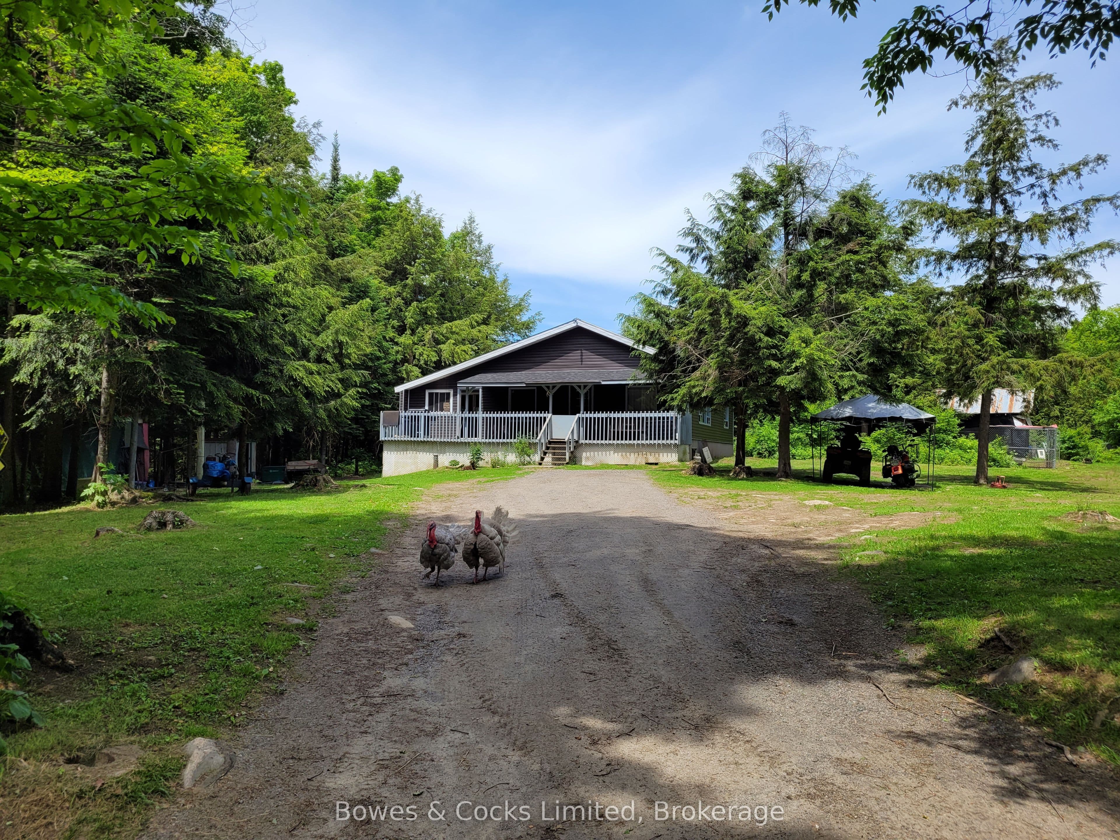 246 Hickey Trail photo 1
