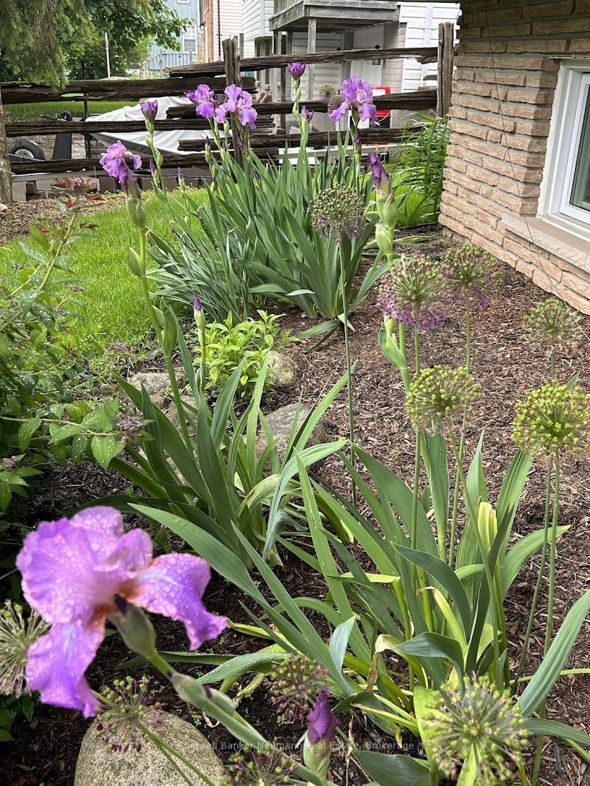 153 HARRIS Street photo 1