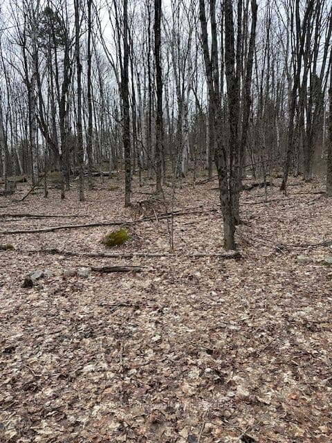 0 Providence Drive photo 1