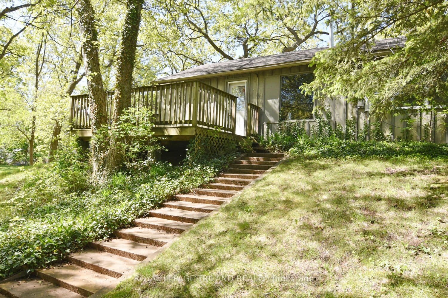 10111 Herbert Street photo 1