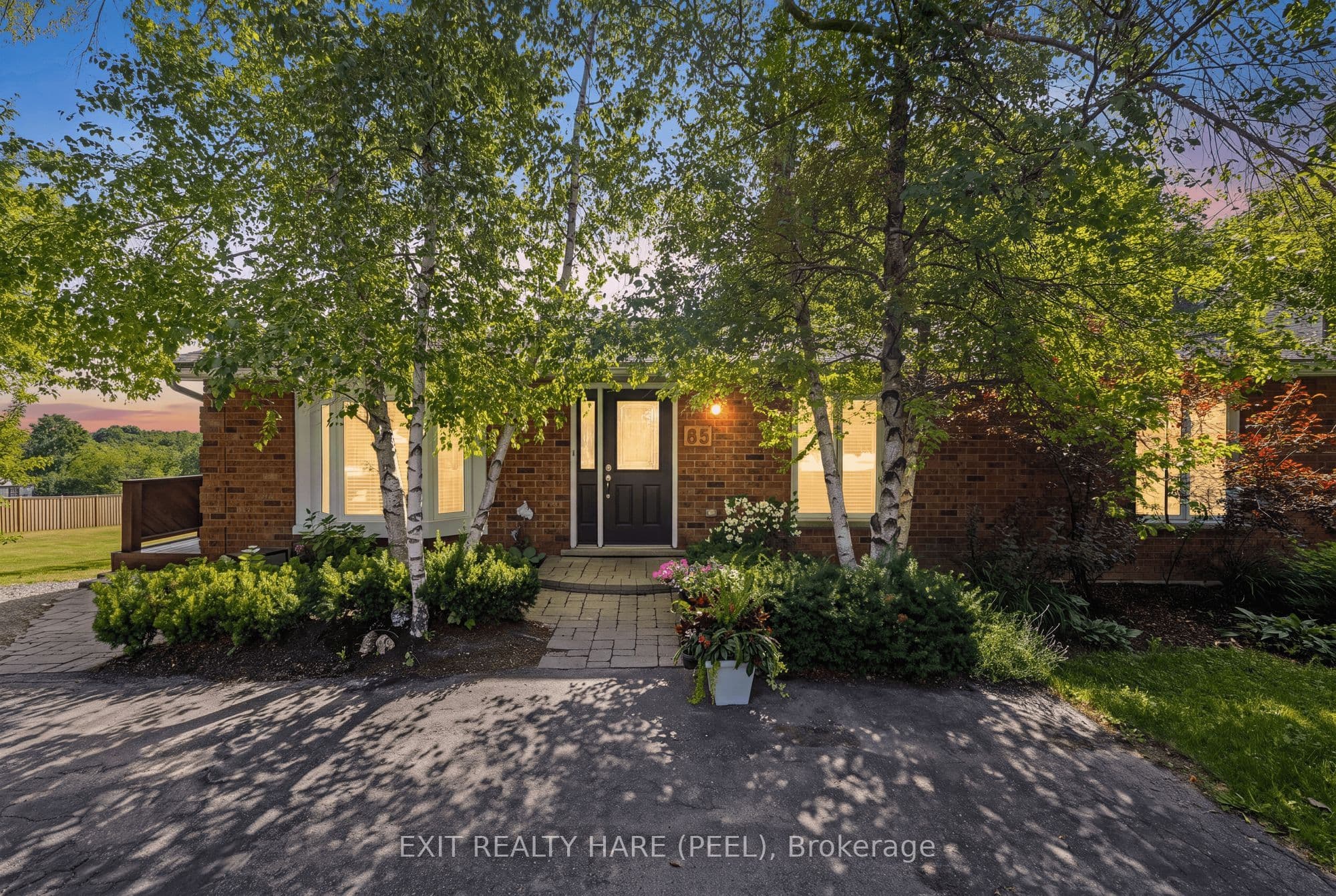 85 Leeson Street photo 1