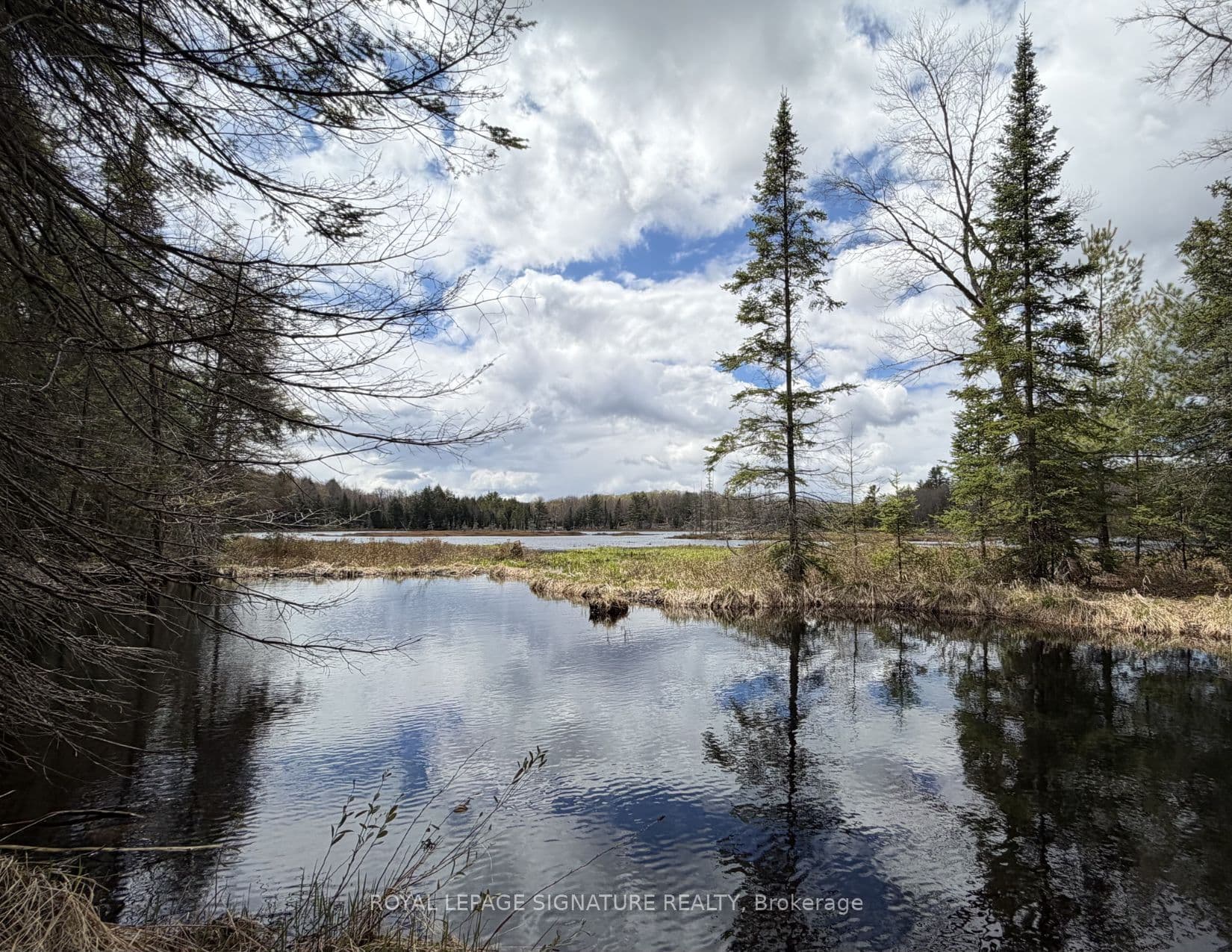 1170 Peter Road photo 1