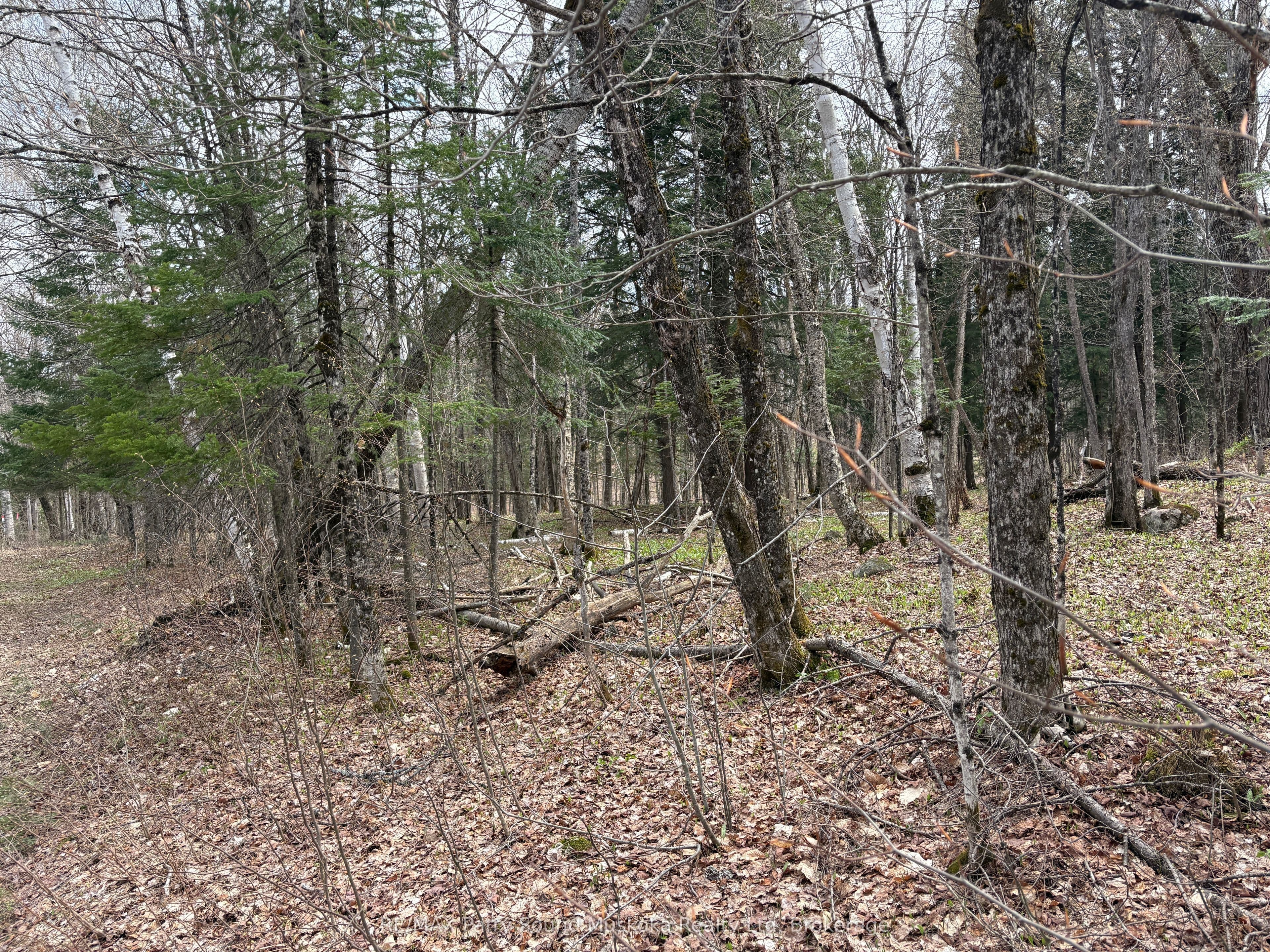 0 Ahmic Lake Road photo 1
