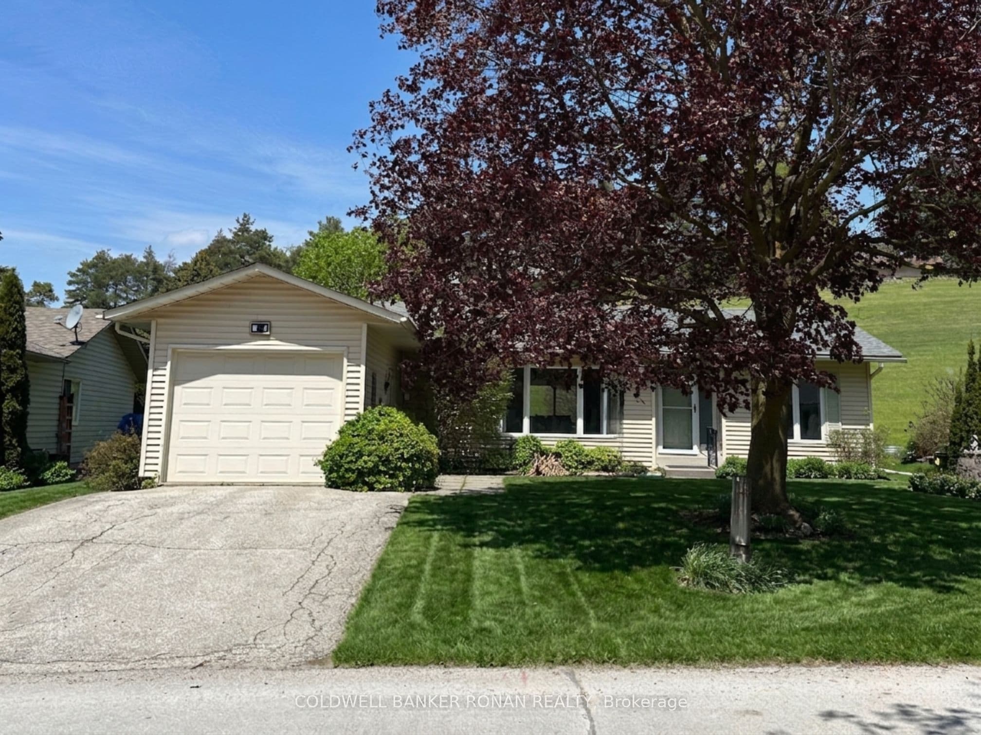 4 Tecumseth Pines Drive photo 1