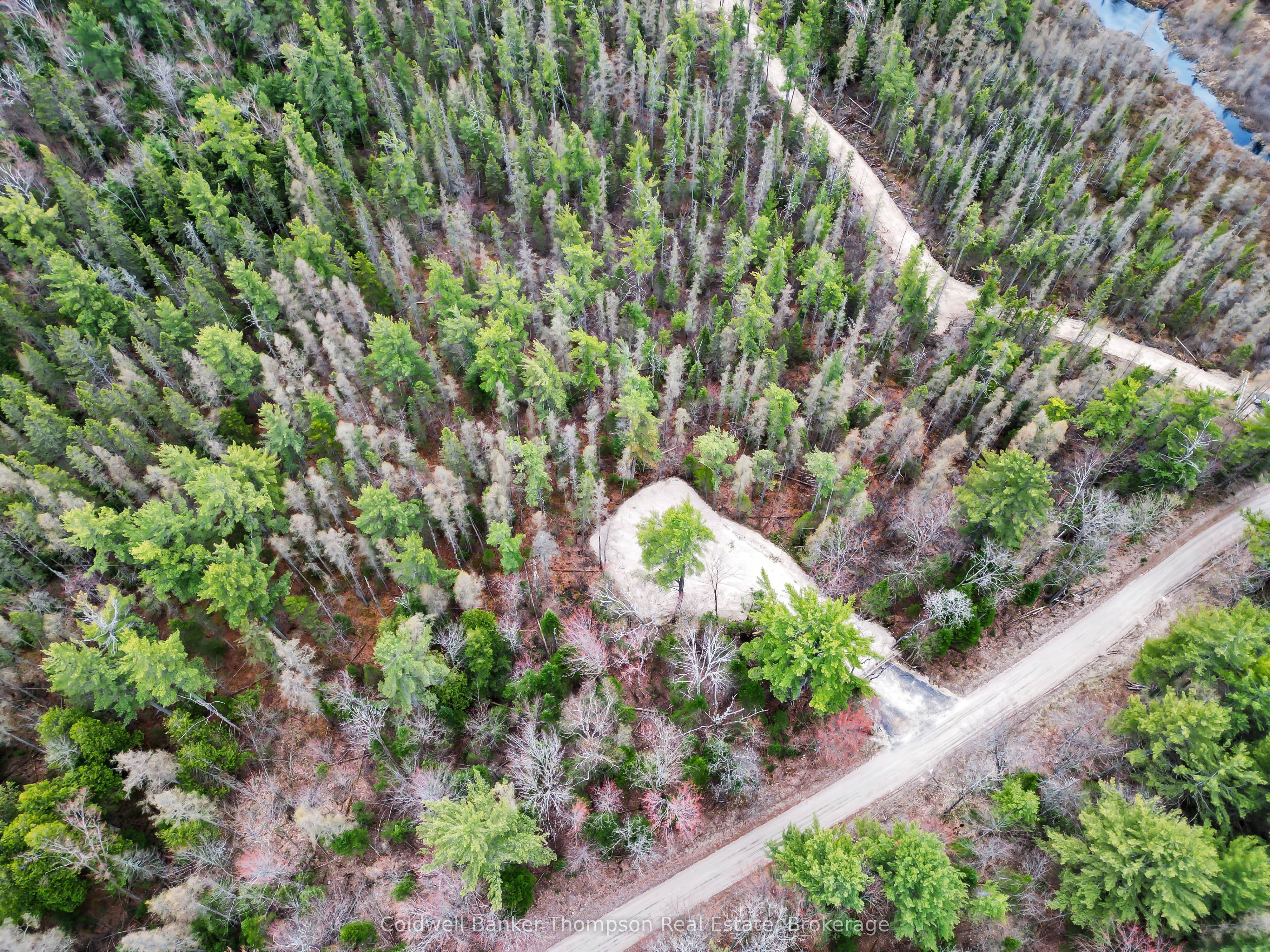 PART 6 AXE LAKE Road photo 1