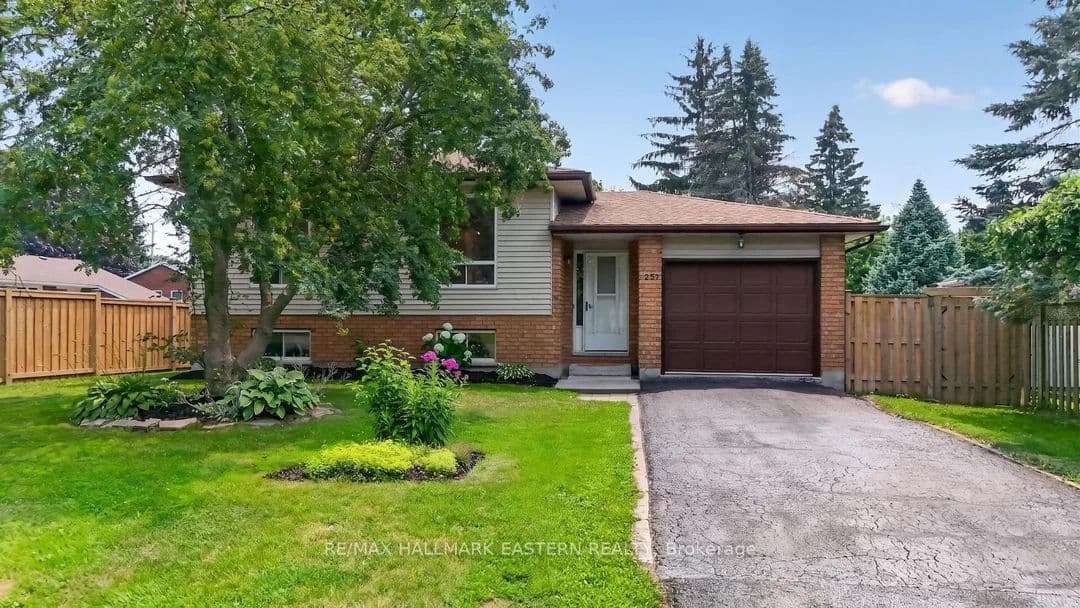 257 White Street photo 1