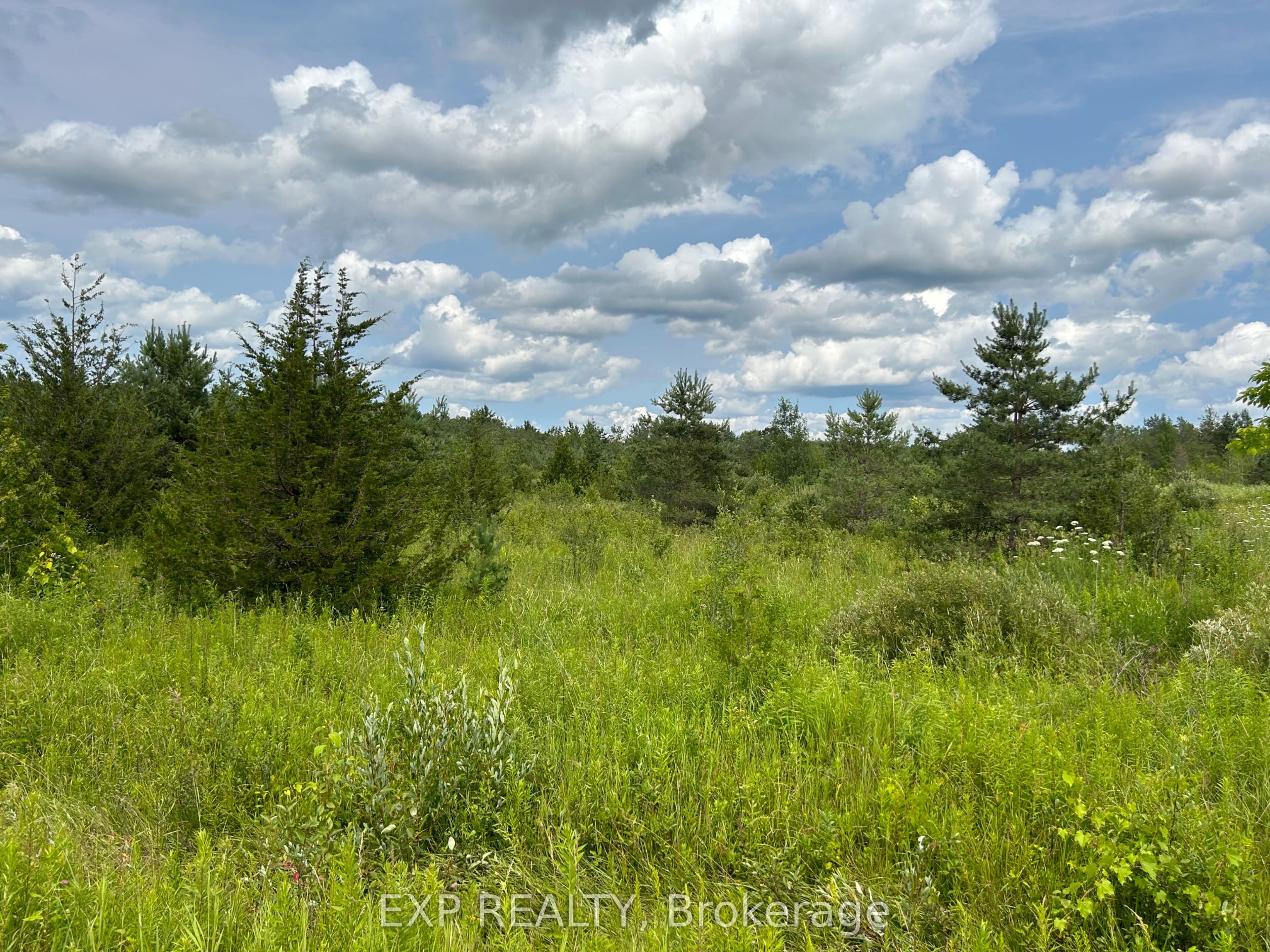 1155 Wood Road photo 1