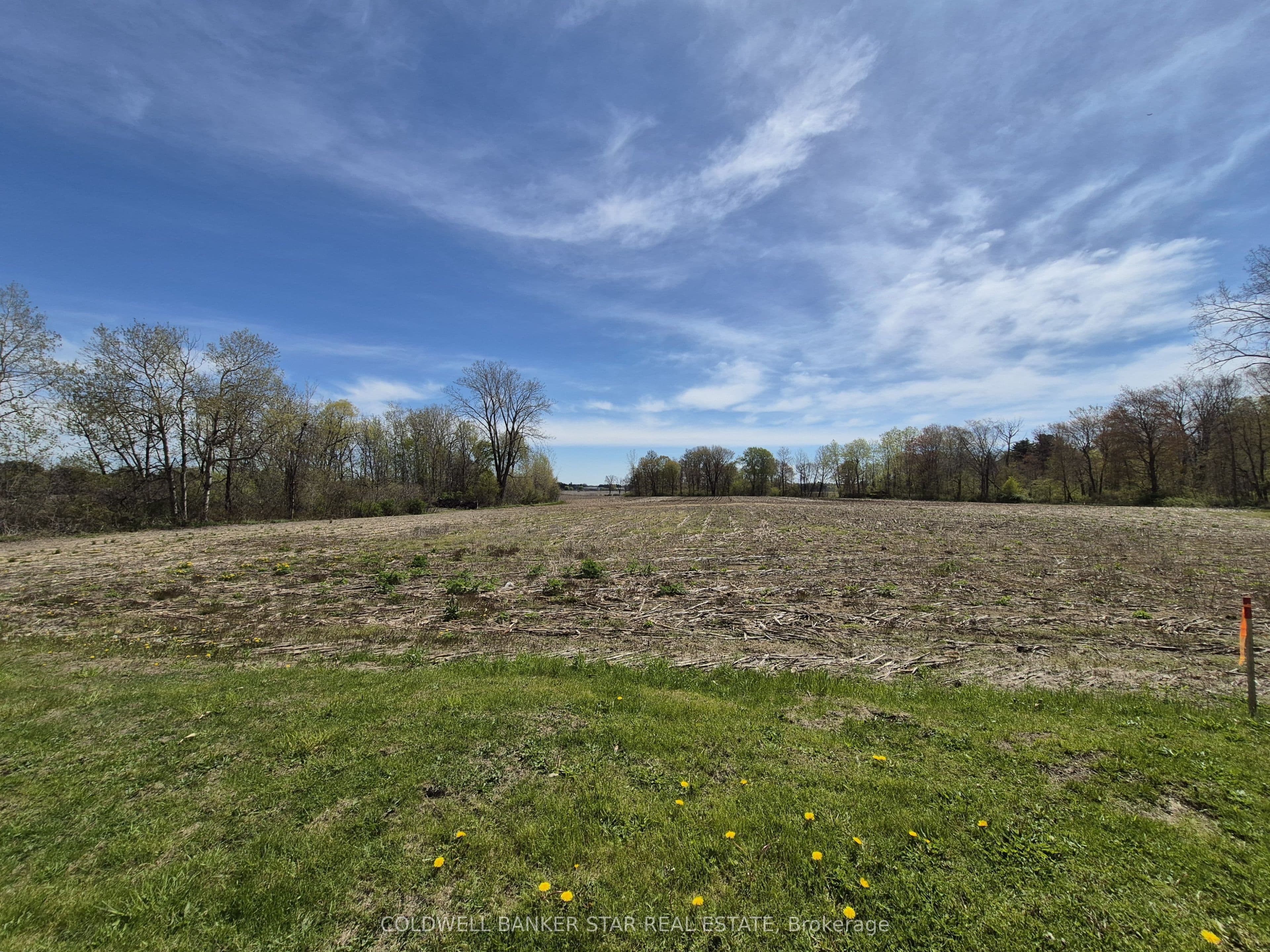 4876 IMPERIAL Road photo 1